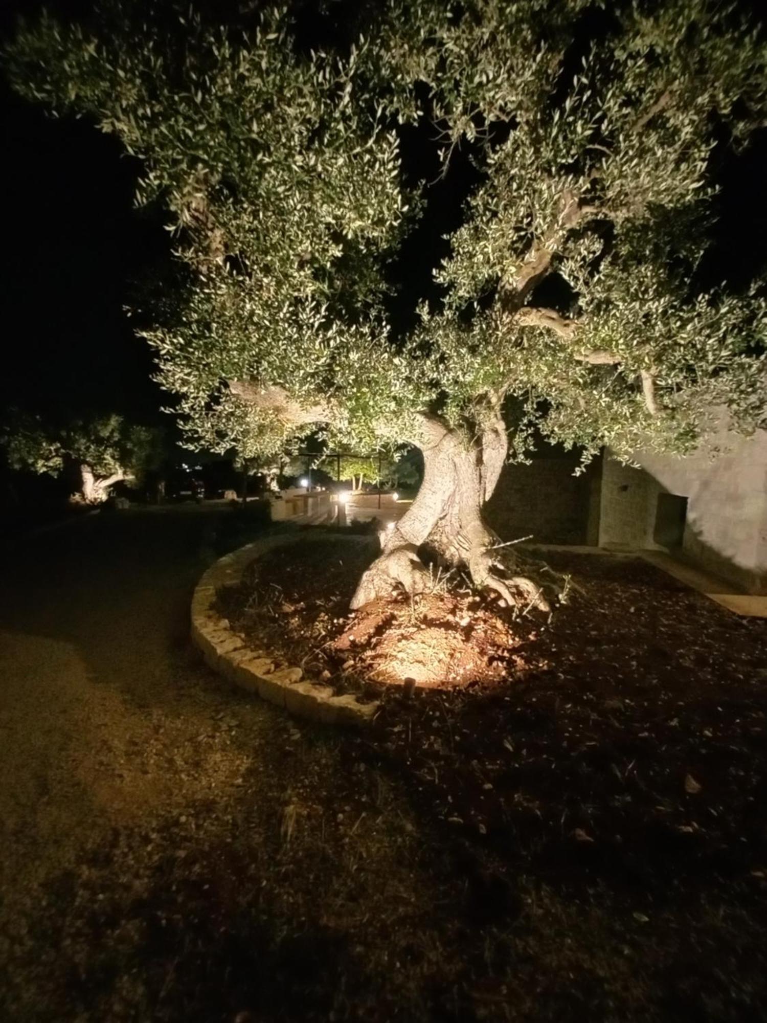 Villa Il Nido Delle Rondini Cisternino Exterior foto